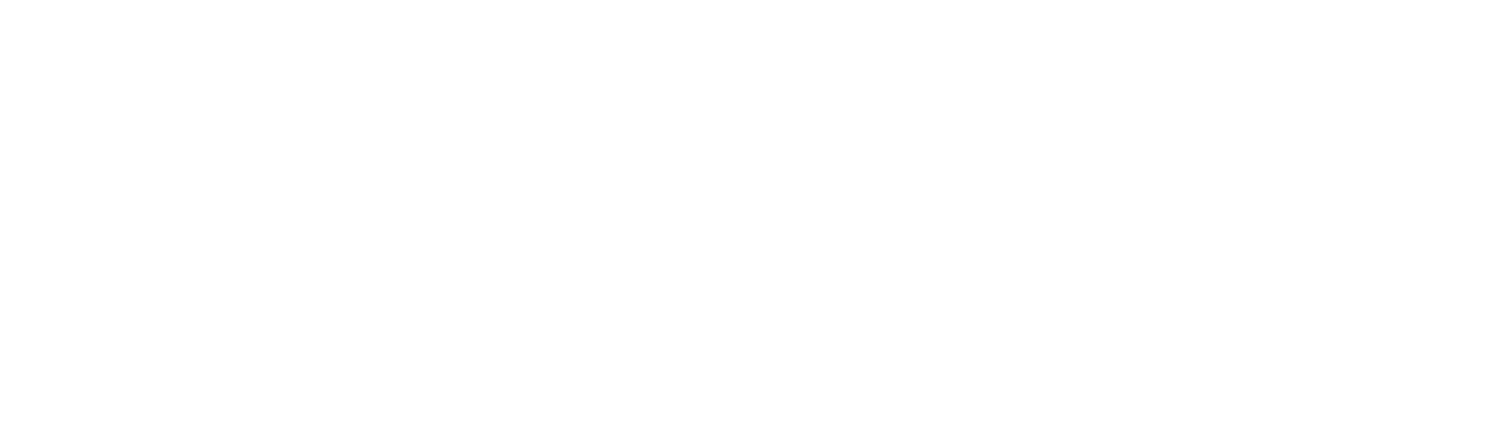 Octaga Security Services